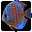 Aquarium Fishes Free Screensaver icon