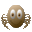 Arachnophilia icon
