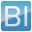 BI Studio icon