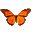 Butterfly on Desktop