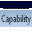 Capability Browser icon