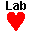 CardioLab icon