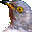 Cuckoo clock 3D screensaver icon