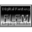 Digital-FLEM icon