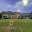 Flower Hill 3D Screensaver icon