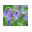 Flowers and Foliage Theme icon