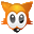 FoxyVPN icon
