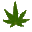 HD Cannabis Strain Directory icon
