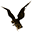 Hawkscope icon