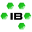 IBExpert icon