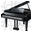 Learn Piano Now ScreenSaver icon