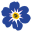 Forget Me Not icon