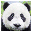 PandaIDE for PHP icon