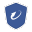 Password Recovery Shield icon