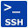 Persistent SSH Tunnel icon