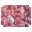 Pink Flowers Bloom icon