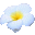 Plumeria Image Sorter icon