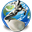 NetSurfer icon