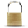Secure Runner icon