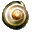 SnailSync icon