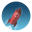 StartupStar icon