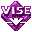 Installer VISE (formely VISE) icon