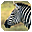 Zebras Free Screensaver icon