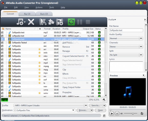 4Media Audio Converter Pro screenshot