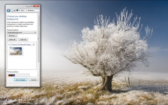 A frosty tree screenshot