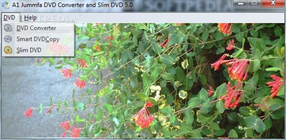 A1 Jummfa DVD Converter and Slim DVD screenshot