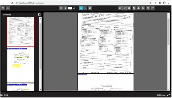 ASP.NET Web Document Viewer SDK Control screenshot