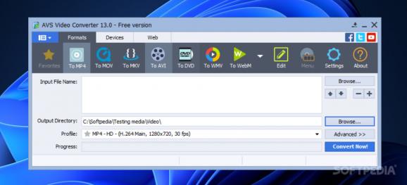 AVS Video Converter screenshot