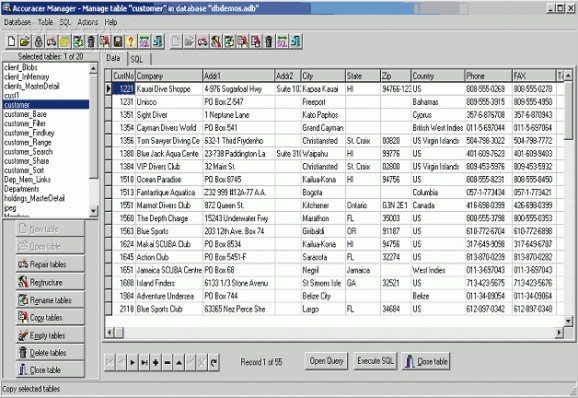 Accuracer Database System screenshot