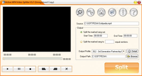Active MP4 Video Splitter screenshot