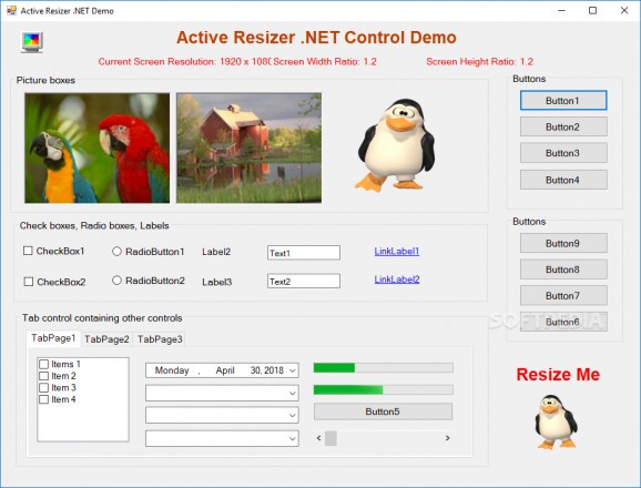 Active Resizer .NET Control screenshot