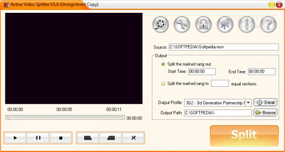 Active Video Splitter screenshot