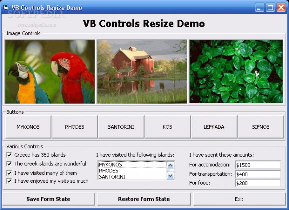 ActiveResize Control screenshot