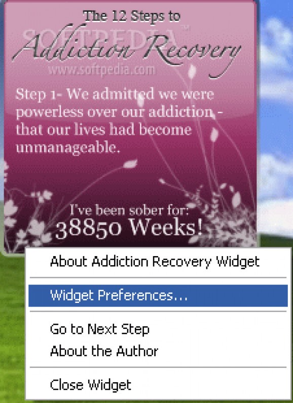 Addiction Recovery Widget screenshot