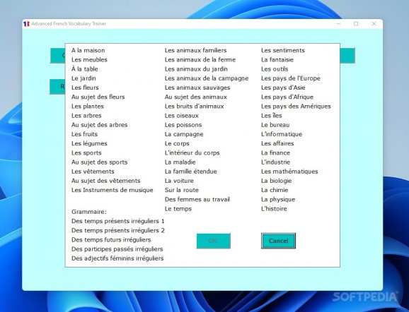 Advanced French Vocabulary Trainer screenshot