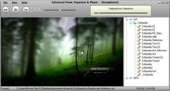 Advanced Music Organizer screenshot