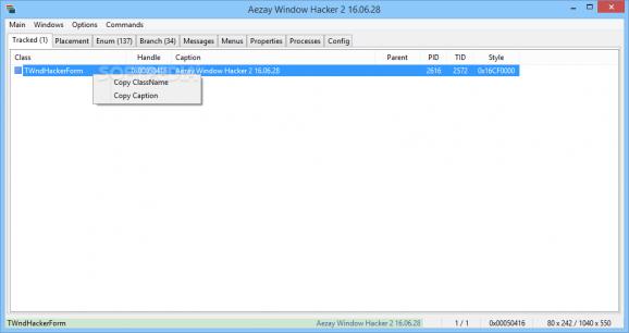 Aezay Window Hacker 2 screenshot