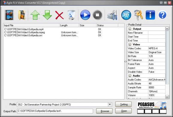Agile FLV Video Converter screenshot
