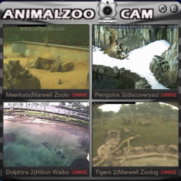 Animal Zoo Cam screenshot