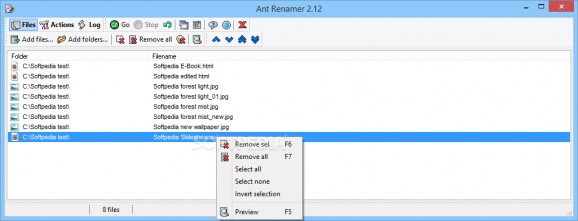Ant Renamer screenshot