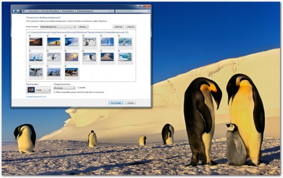 Antarctica Windows 7 Theme screenshot