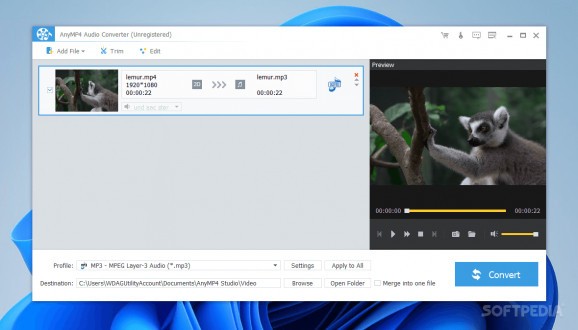 AnyMP4 Audio Converter screenshot