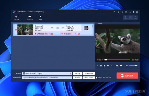 AnyRec Video Enhancer screenshot