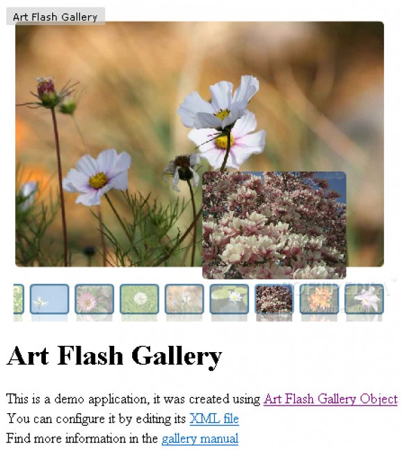Art Flash Gallery screenshot