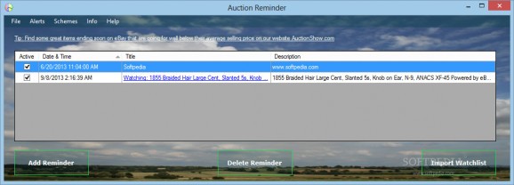 Auction Reminder screenshot