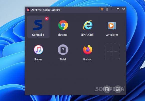 AudFree Audio Capture screenshot